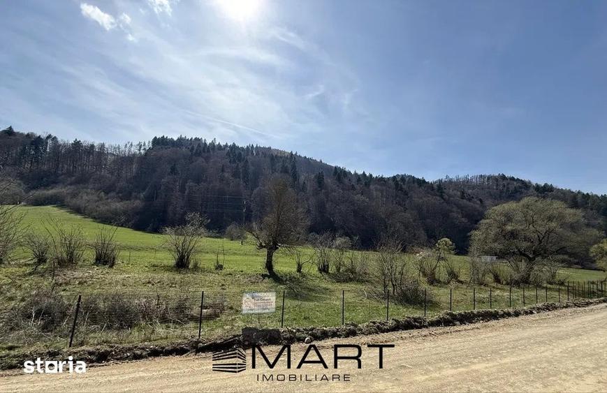 Teren de 7300 mp, în Tărlungeni