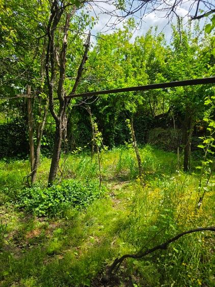 Casă individuală cu 3 camere cu Canalizare în Est