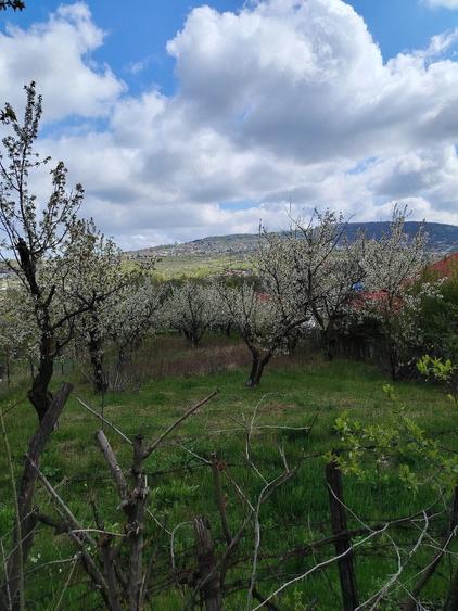 Teren de 1150 mp, în Bârnova