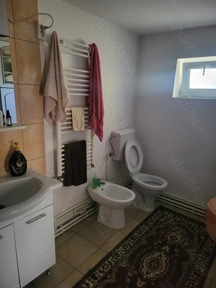 Casă cu 2 camere în Vitănești