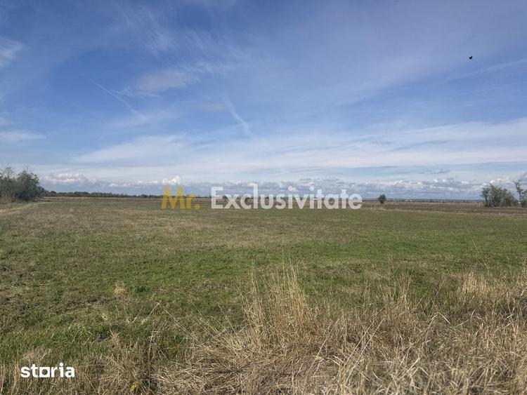Teren de 3700 mp, în Rătești