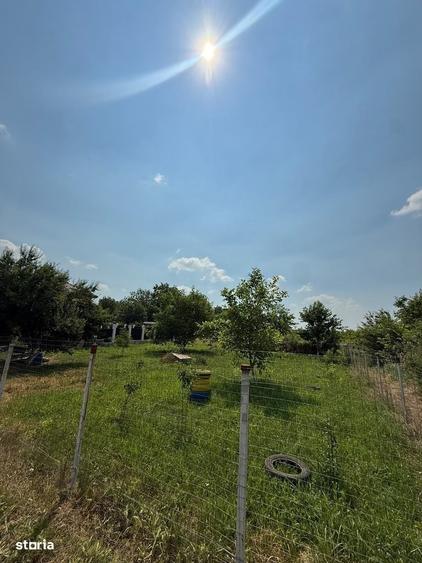Teren intravilan 600 mp in Izvoare Ideal pentru constructie casa - 4