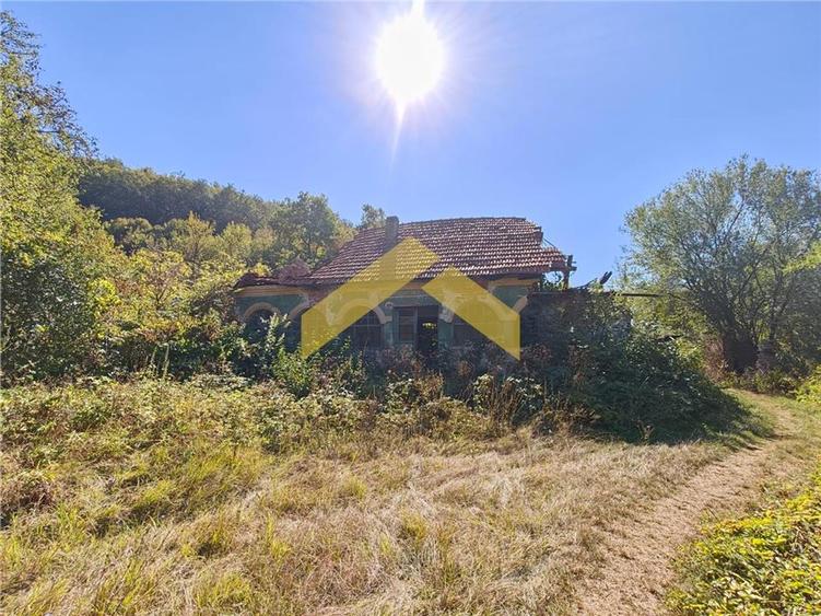 Teren extravilan de 20574 mp, în Corbești
