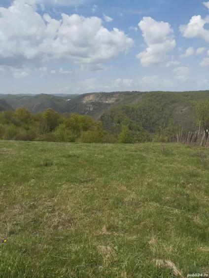 Teren de 3774 mp, în Ghelari