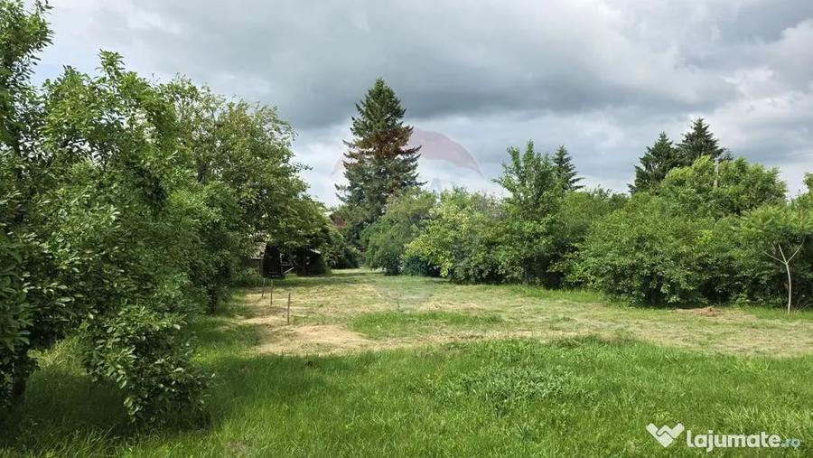 Domeniu rural, gospodarie/multifunctionala cu casa, livad... - 13