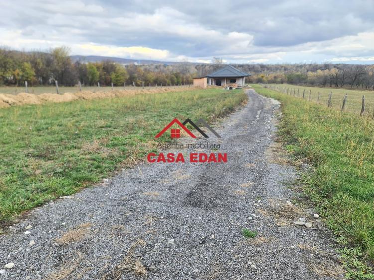 Casă individuală cu 5 camere cu Teren 5034 Mp în Câmpina
