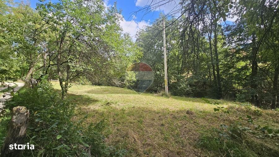 Spațiu comercial, în Sohodol