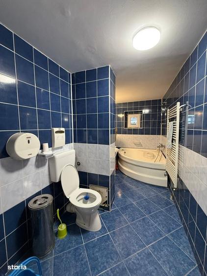 Apartament cu 4 camere, mobilat în Scriitorilor