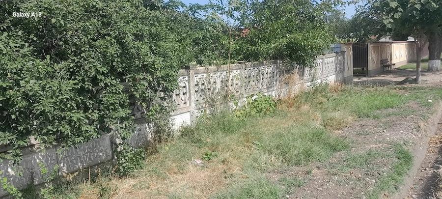 Casă cu Teren 1700 Mp în Roșiori