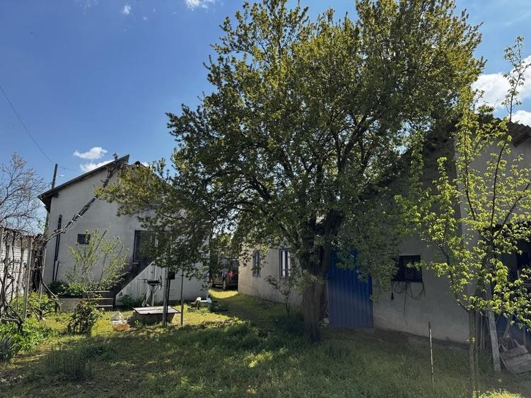 Casă cu 2 camere în Malu Mare