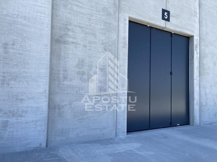 Spațiu industrial, de 1,046 mp, în Sânandrei