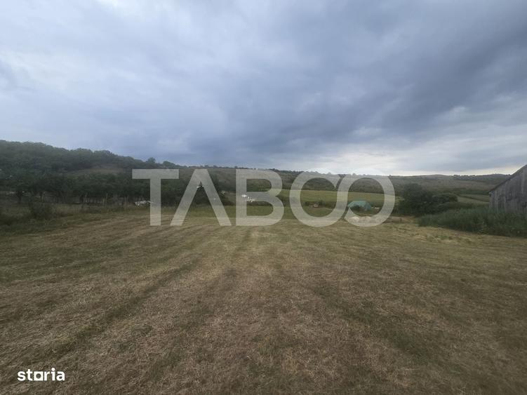 Teren de vanzare 8700 mp cu un front de 30m in Sura Mare - 2