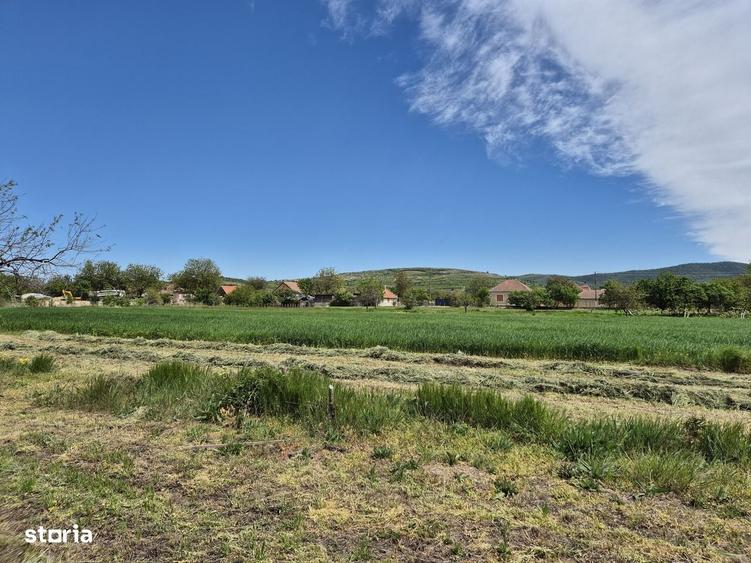 Casă cu 3 camere în Covăsinț