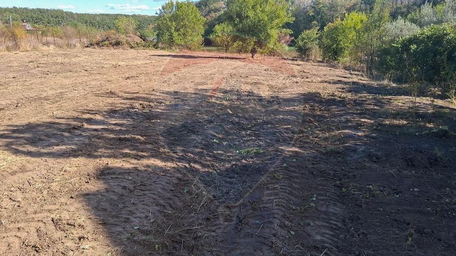 Teren agricol intravilan de 3778 mp, în Brănești