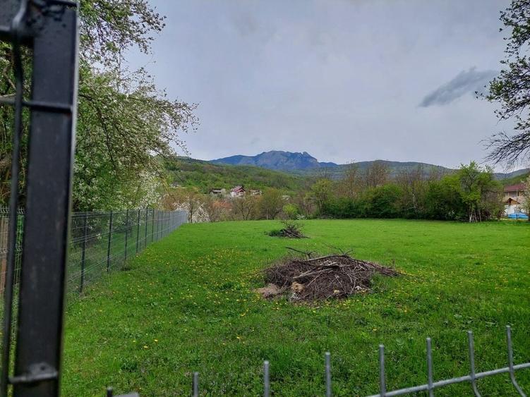 Teren de 3700 mp, în Jiblea Nouă