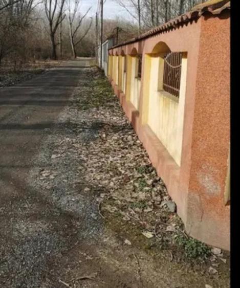 Teren de 590 mp, în Braniște (Podari)