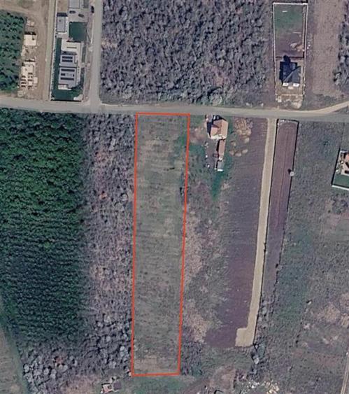 Teren intravilan de 5997 mp, în Săldăbagiu de Munte