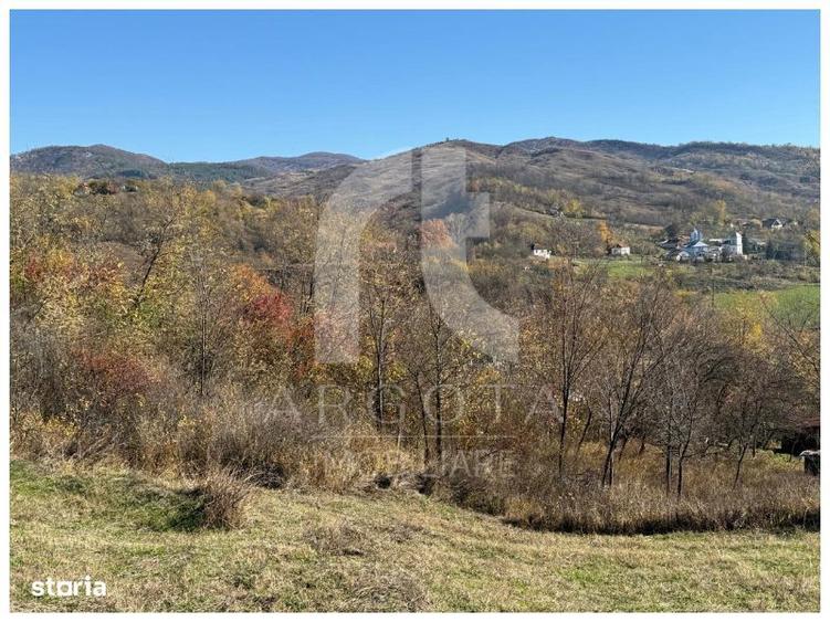 Teren de 3250 mp, în Cozieni