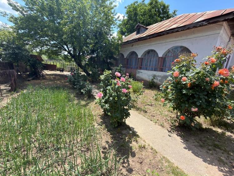 Casă individuală cu 3 camere cu Teren 1110 Mp în Exterior Est