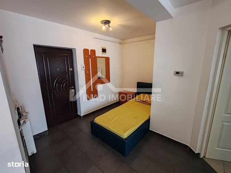 Apartament cu o camera situat in Zorilor, Str. Viilor, aproape de UMF - 10