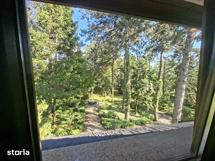 Casa cu Pini. Un refugiu in culoarea naturii. - 13