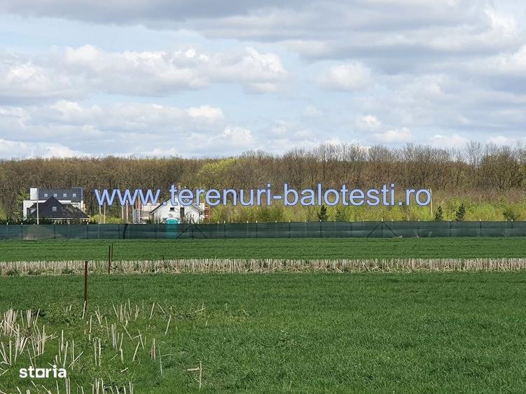 Vanzare teren langa padure,drum amenajat,case noi ,620 mp,26500 E - 4