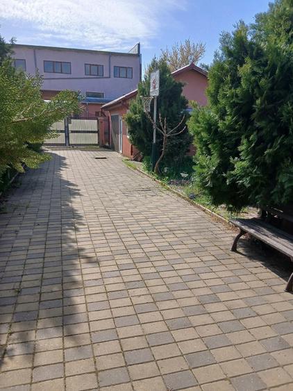 Casă cu Teren 1000 Mp în Mărăcineni