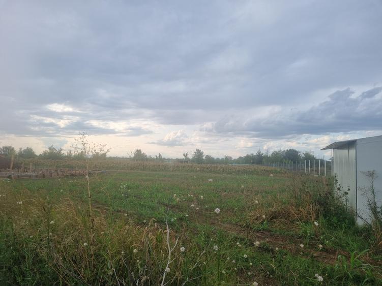 Teren Construcții intravilan de 1080 mp, în Ciolpani