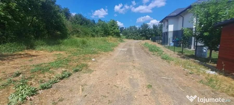 TEREN intravilan Balciu - MIROSLAVA , 709 MP, 77.990 EURO - 2