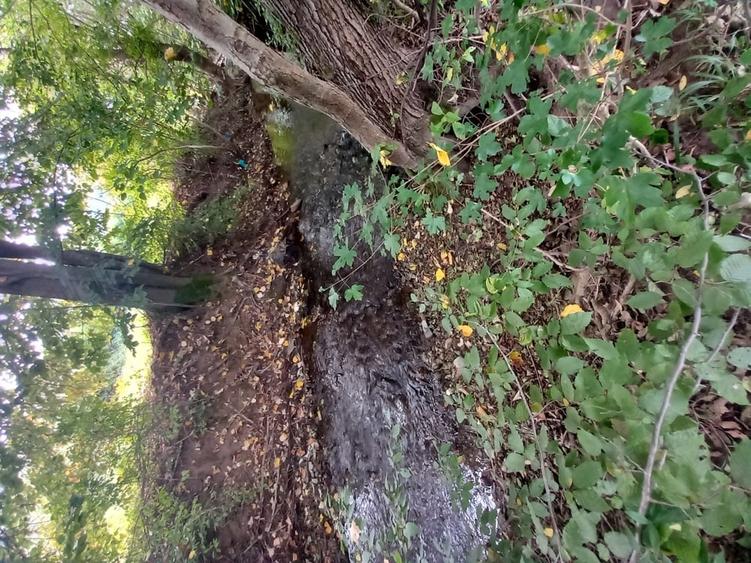 Teren de 352 mp, în Vața de Jos