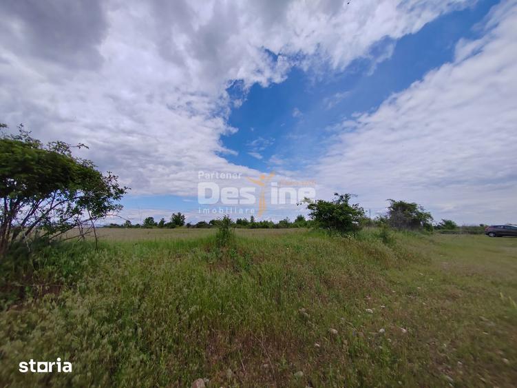 Teren de 114000 mp, în Ariceștii Rahtivani