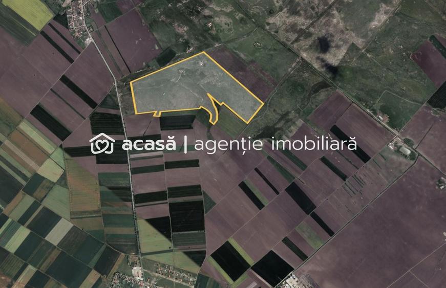 Teren agricol extravilan de 424700 mp, în Macea
