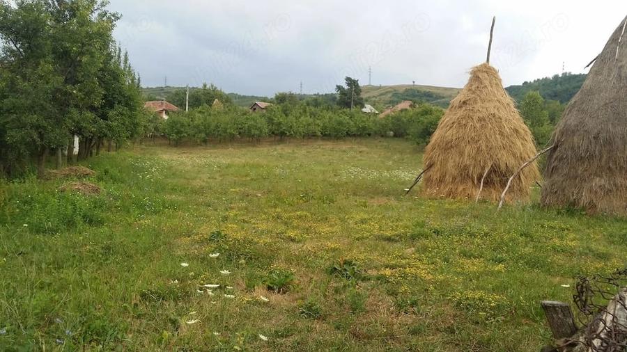 Teren de 2000 mp, în Central