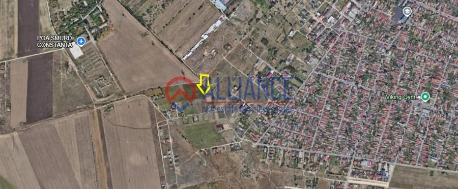 VIILE NOI - Teren în spate la Vila Cucoanei - 2