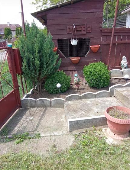 Casă cu 3 camere cu Teren 35 Mp în Sânmihaiu de Câmpie