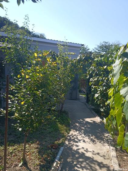 Casă cu 3 camere în Central