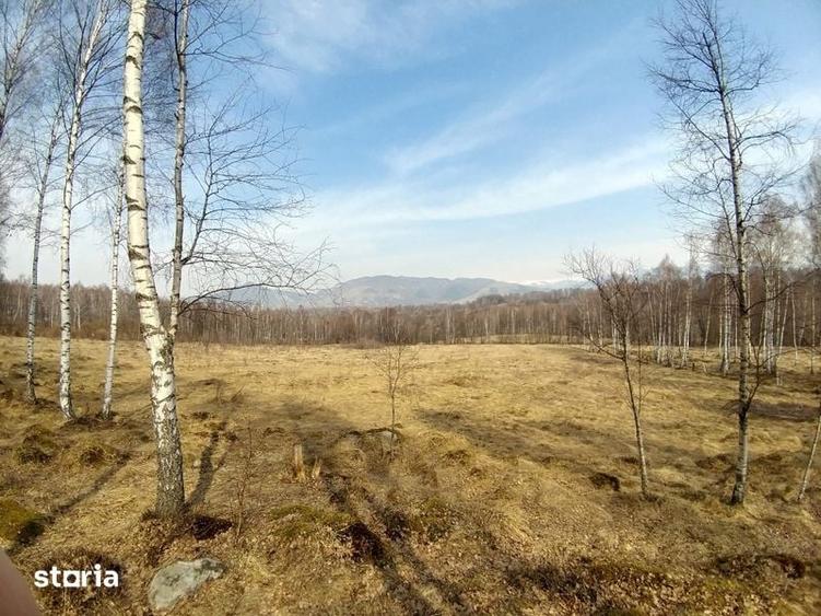 Teren de 1000 mp, în Central