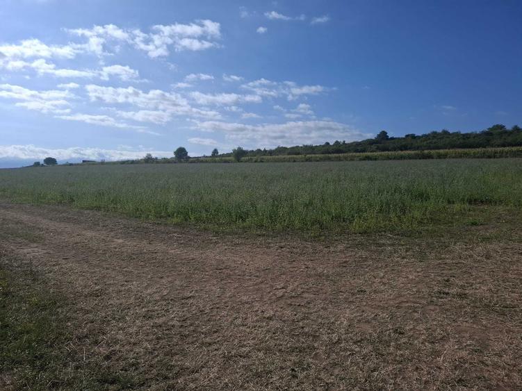 Teren de 400 mp, în Daia