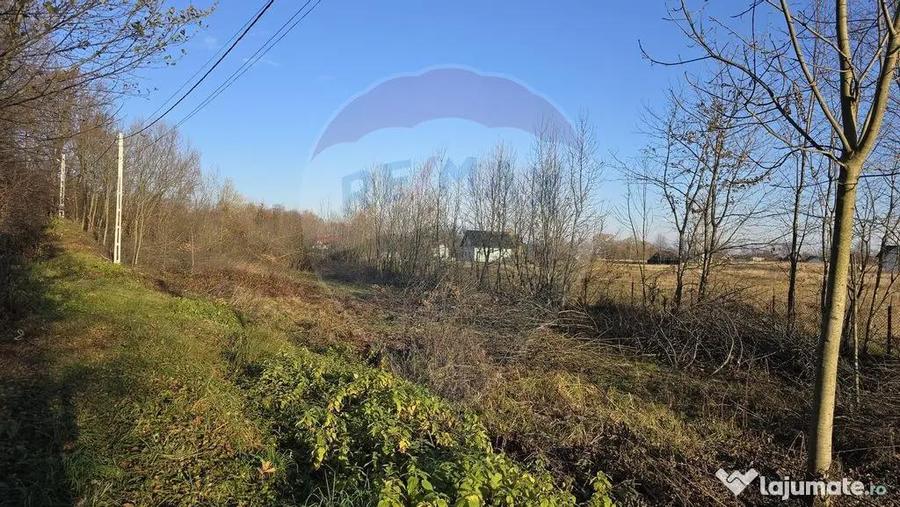 Teren de vanzare in Fratautii Noi / Strada Dealului - 8