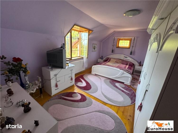 Proprietate deosebita de vanzare in Alba Iulia - 4