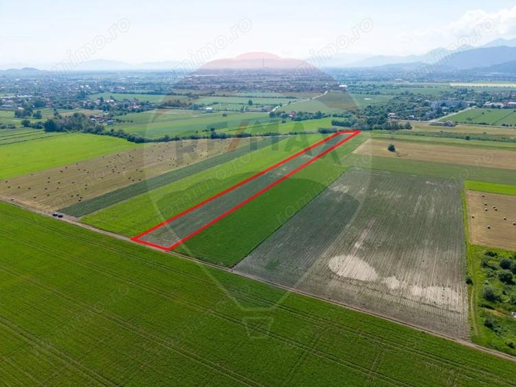 Teren de 11500 mp, în IAR