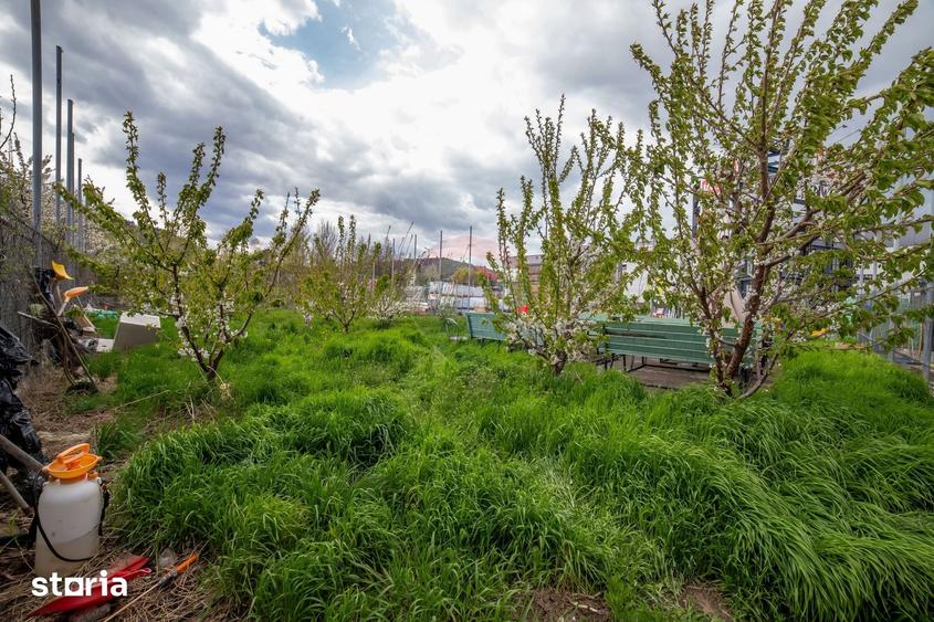 Spațiu comercial, de 472 mp, în Calea Romanului