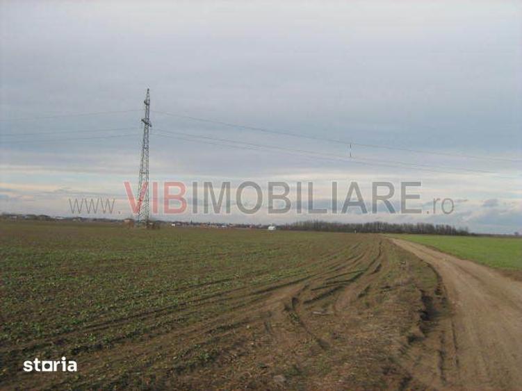 Teren de 61830 mp, în Belciugatele