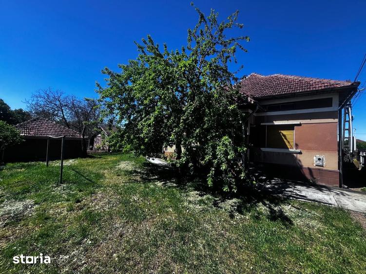 Casă cu 3 camere cu Teren 3000 Mp în Central
