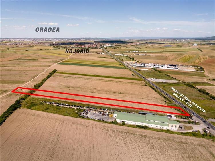 Teren intravilan de 7959 mp, în Nojorid