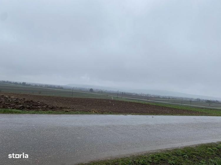Teren de 1203 mp, în Comana