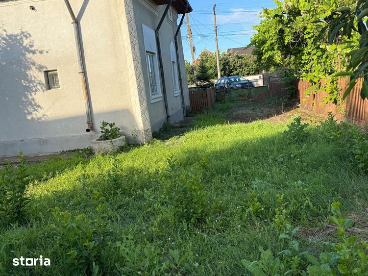 Casă cu 3 camere cu Teren 4000 Mp în Dumbrava