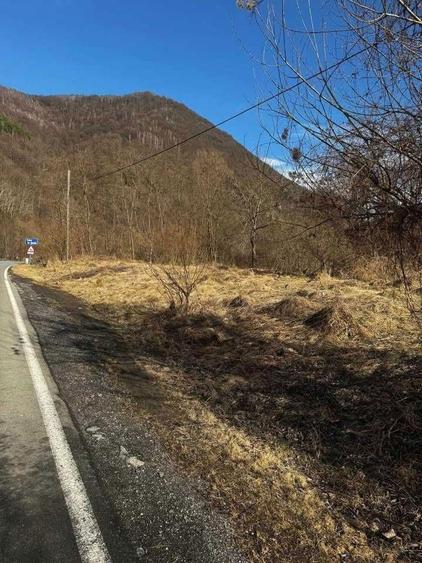 Teren de 1700 mp, în Brăzești