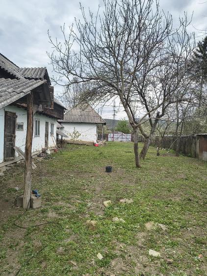 Casă cu Teren 1373 Mp în Prăjoaia