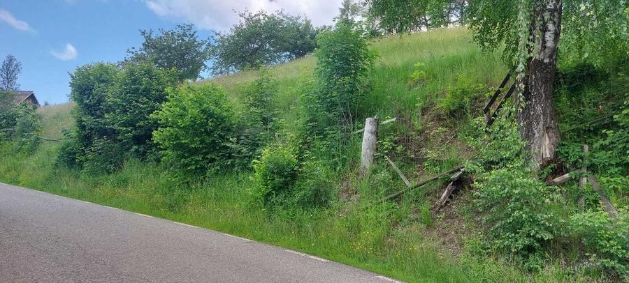 Teren de vis 2263 mp in Apuseni com. Horea, Alba | Priveliste superba - 5